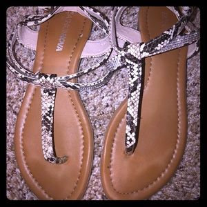 Snake skin sandals